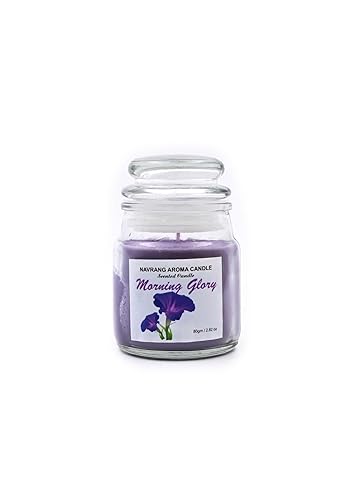 Morning Glory Scented Yankee Jar Candle - Lasts Upto 48 Hours - THE REMEDIAL STORE